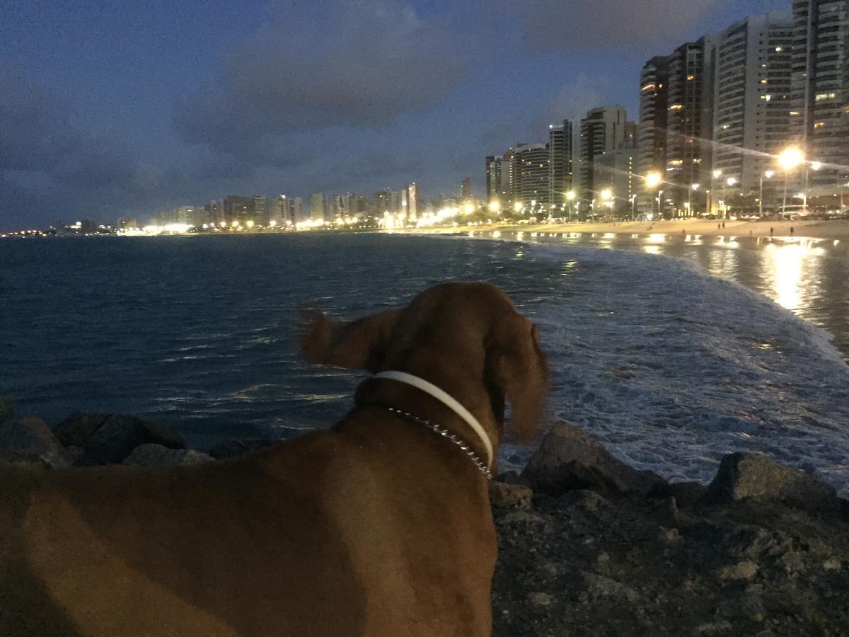 Apartamento Na Melhor Localizacao De Fortaleza!! Esterno foto